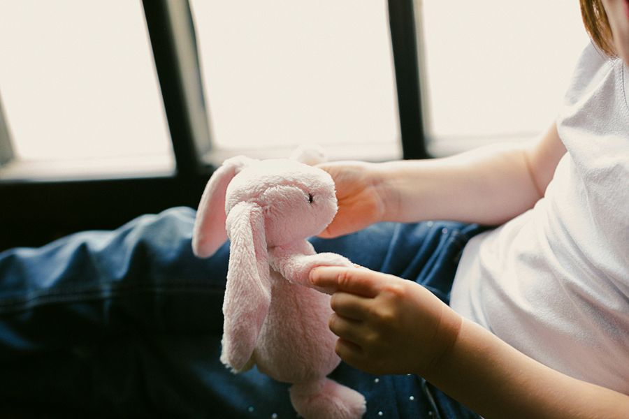 Imagen de Pelúcia Antialérgica: Como Escolher Brinquedos Seguros para Crianças