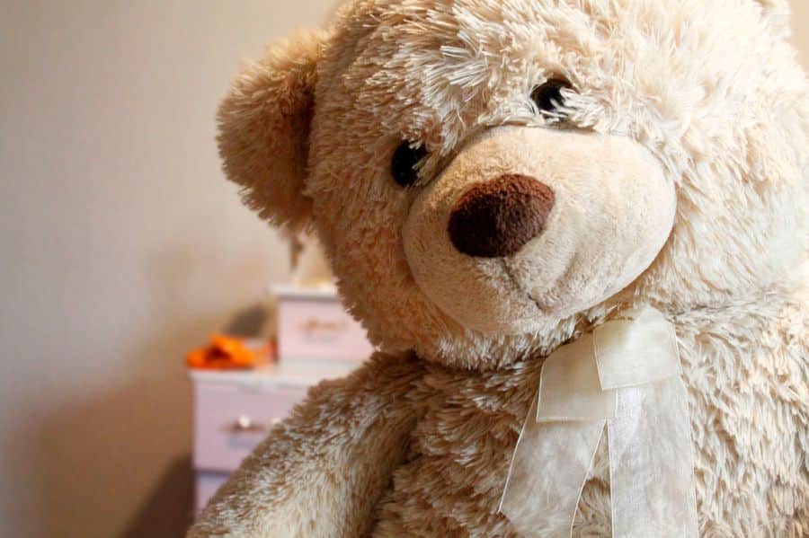 Imagen de Como escolher o urso de pelúcia ideal: guia para todas as idades